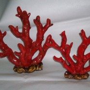Rami corallo resina